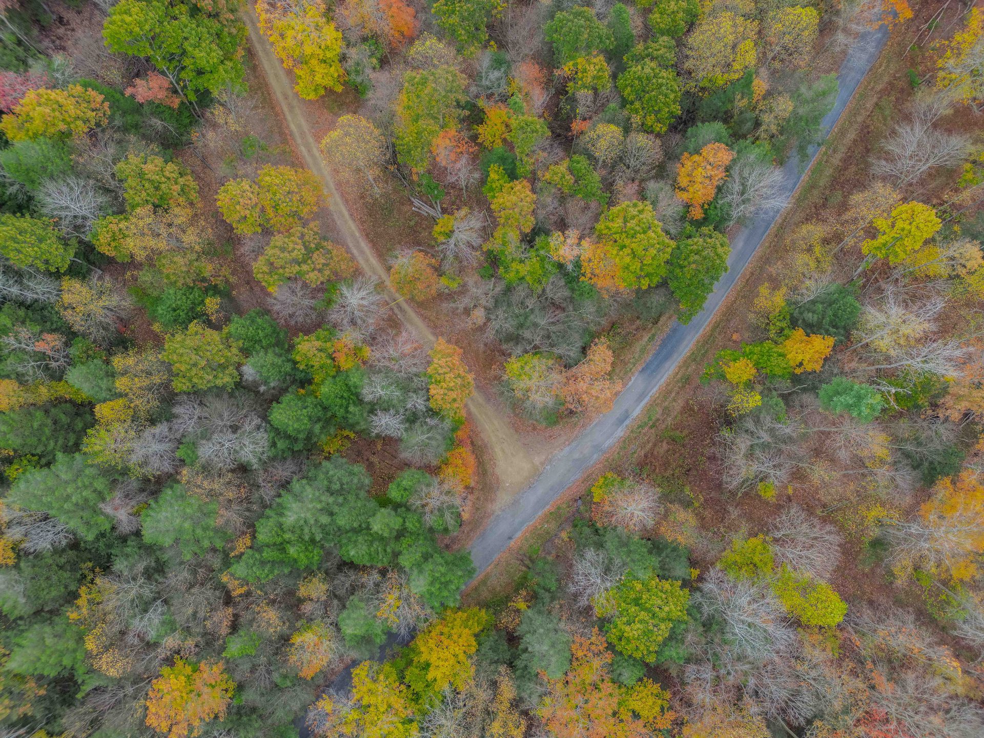 Aerial 6